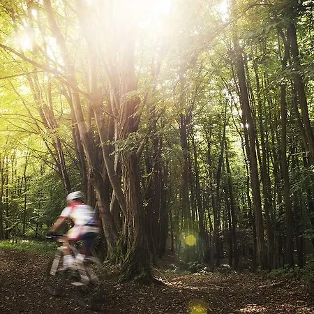 Artemide Relais 4* Montebelluna