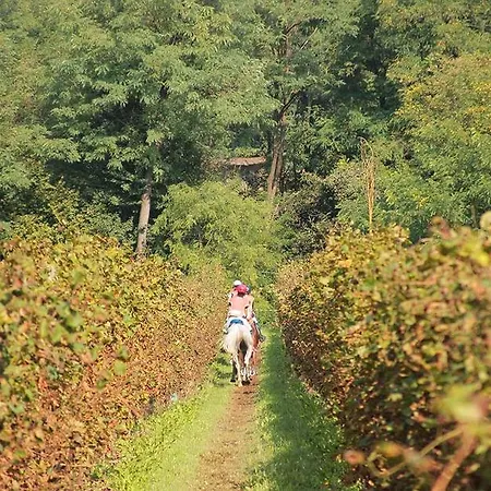 Panzió Artemide Relais