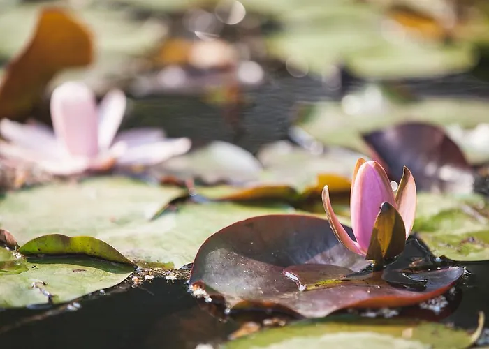 Artemide Relais Couette-café Montebelluna