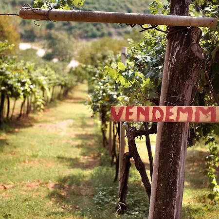 Bed and Breakfast Artemide Relais Montebelluna