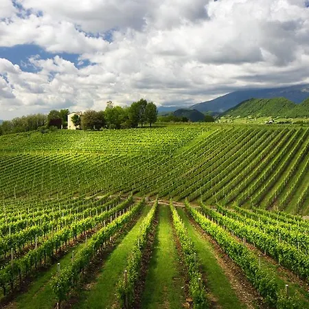 Artemide Relais Bed and Breakfast Montebelluna