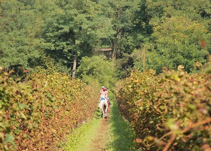 ベッド・アンド・ブレックファスト Artemide Relais モンテベッルーナ